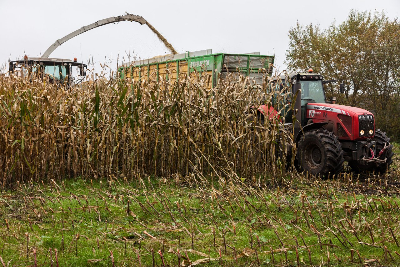 Bild 137 - Biogas am 21.10.12